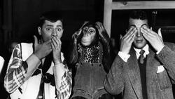 Lewis and Gregory remembered News Clip