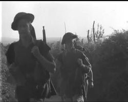 TOWARDS THE GOTHIC LINE - News Clip