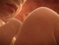 Male foetus in the womb, profile view. This foetus is at full term, and is fully developed and ready to be born Stock Footage