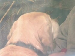 Many vulnerable people have lost their social care News Clip