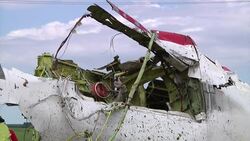 Speaking at the White House, President Barack Obama called for international investigators to have immediate and full access to the Ukraine plane crash site.  He also called for a ceasefire and an end to the violence in Gaza. (July 21) News Clip