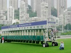 The Starting Gate is placed into position Stock Footage