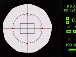 SLR Camera Viewfinder Simulation Stock Footage