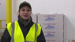 VOICED : Voices of Brexit the Romanian UK farmworker News Clip