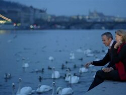 Wide shot man and woman throwing bread into Charles River + feeding swans + ducks / Prague Stock Footage