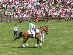 WS TS Young girl and women showing performance on horse / Dulmen, North Rhine Westphalia, Germany Stock Footage