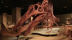 Land and sea-dwelling dinosaur roars into Washington DC News Clip