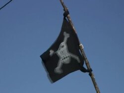 Pirate flag Stock Footage