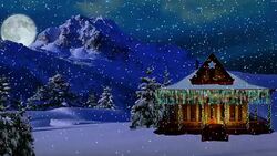 Winter Night Stock Footage