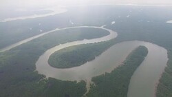 Aerial over s-shaped mangrove forest Stock Footage