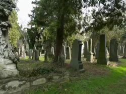 Jewish Cemetery Stock Footage