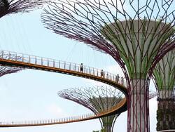 A Walk Through Singapore's Gardens By The Bay Stock Footage