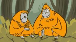 TED-Ed: How smart are orangutans? - Lu Gao Instructional Video