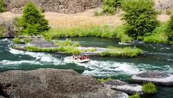 Rafting Stock Footage
