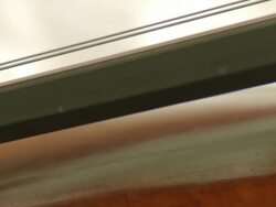 CU Landscapes of a cello / Berlin, Germany Stock Footage