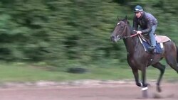 CLEAN : Treve Frances great hope for the Arc de Tr News Clip