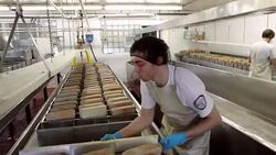 America Faces Surplus Of Cheese With Record Dairy Production Stock Footage