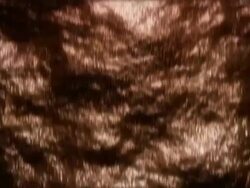 Ocean At Sunset Stock Footage