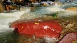 Rapids red rocks Stock Footage