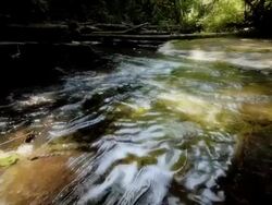 CU SLO MO ZI POV Shot of water Patterns in Creek / Paradise Creek, Oregon, United States Stock Footage