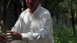 old man practice tai chi in the park Stock Footage