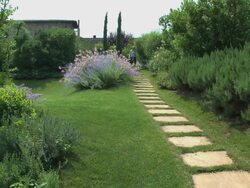 Happy blond woman walking in marvelous flowered Tuscan garden. Stock Footage