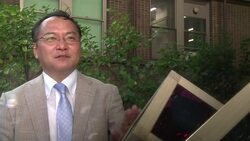 VOICED : Paneles solares con estilo News Clip