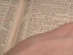 Psalm 23 Closeup (HD,NTSC) Stock Footage