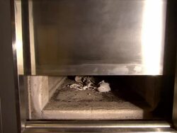 Bones and ashes in a incinerator Stock Footage