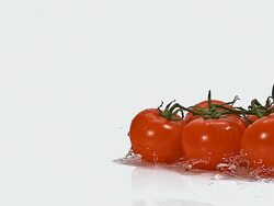 MS SLO MO Red tomatoes sliding on water against white background / Vieux Pont, Normandy, France  Stock Footage