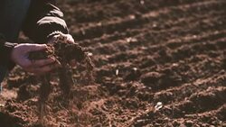 Farmer hands holding and pouring back organic soil. Soil, Agriculture, Sunlight. Stock Footage
