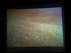 Christie's sale of photographs from the Refco collection News Clip