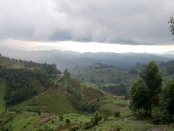 WS View of grass covered mountain valley with cloudy skies and mountains in distance / bwindi, kabale, uganda Stock Footage