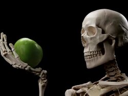Skeleton sniffs an apple Stock Footage