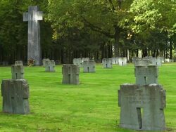 PAN War Graves in the  Huertgen Forest Cemetery in the Eifel Hills (Motion Controlled Shot)  Stock Footage