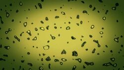 Microorganisms Stock Footage