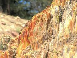 Florissant Fossil Beds National Monument Stock Footage