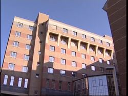 Person suspected of catching bird flu in Turkey in Brussels hospital Instructional Video