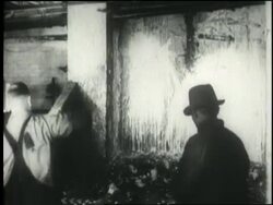 Men smash liquor bottles against a wall. News Clip