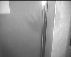 ROYAL COLLEGE OF ART EXHIBITION News Clip