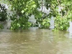 May 9, 2011 Mississippi River Floods a park near Memphis, Tennessee, USA Stock Footage