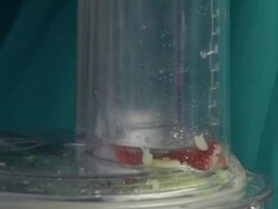 Woman cutting apple in blender Stock Footage