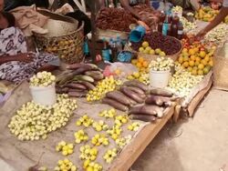 Panning view of farmers market. Stock Footage