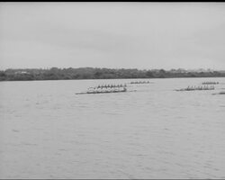 ROWING - ST. MICHAEL'S WIN QUINN CHALLENGE CUP News Clip