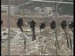 Town prepares for miners' funerals, update on survivor News Clip