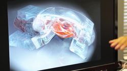 THESE BIOBOTS SHOW SOME REAL MUSCLE Instructional Video