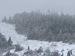 Broken Power Poles After Storm Stock Footage