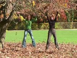 HD: Fun in the park Stock Footage