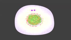 Cell Reproduction Review Instructional Video