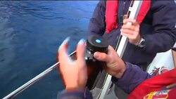 Environmental experts test water around shipwreck for pollution News Clip